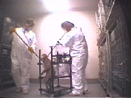 monkey during an animal test. No this is not 30 years ago, this is now. There are primate labs all over the world that conduct tests on primates